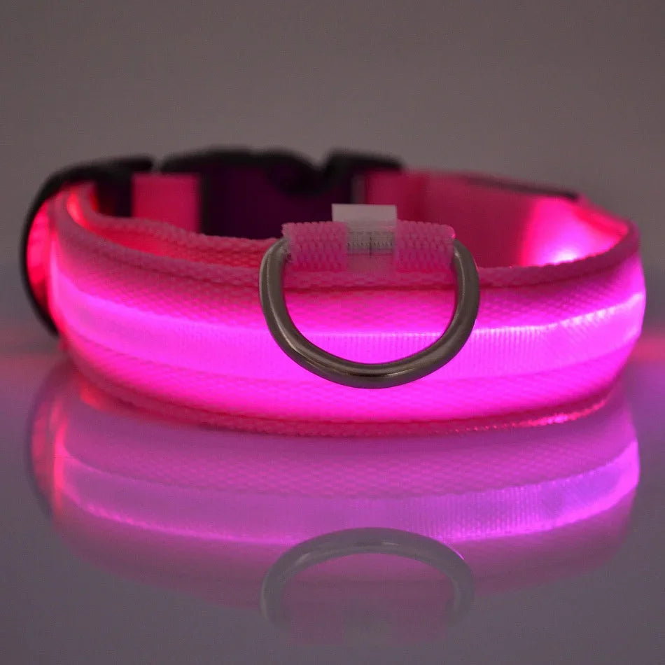 Fluorescent LED Dog Collar