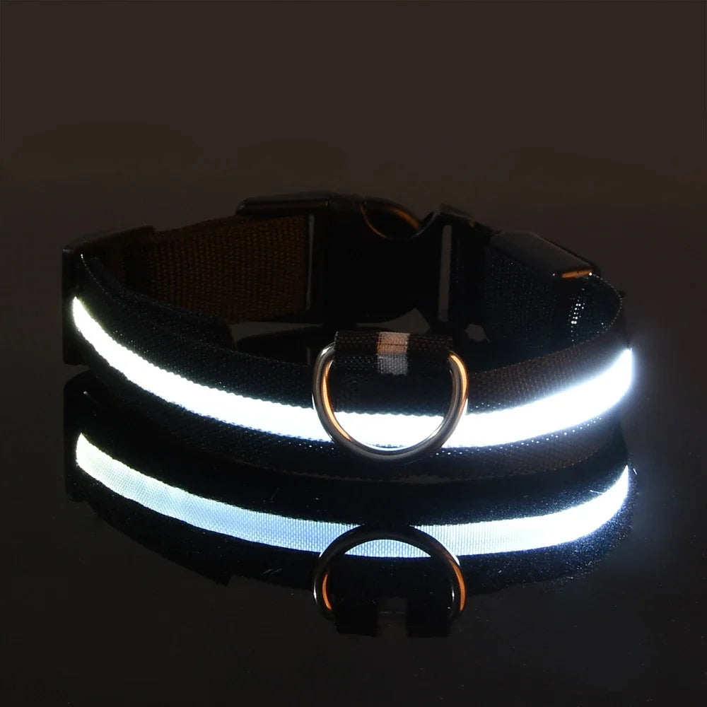Fluorescent LED Dog Collar