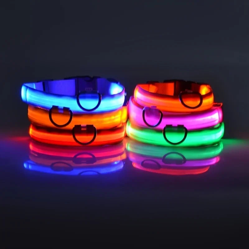 Fluorescent LED Dog Collar