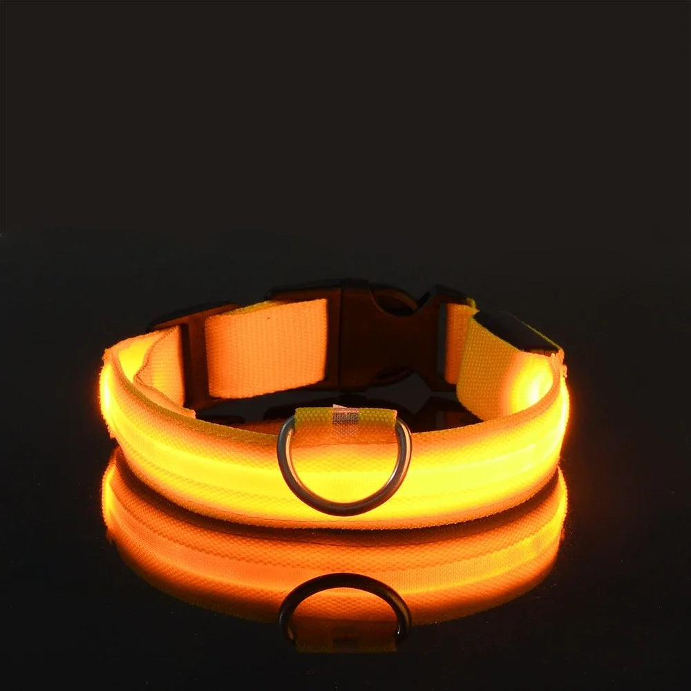 Fluorescent LED Dog Collar