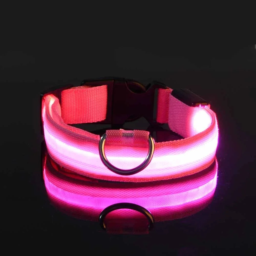 Fluorescent LED Dog Collar