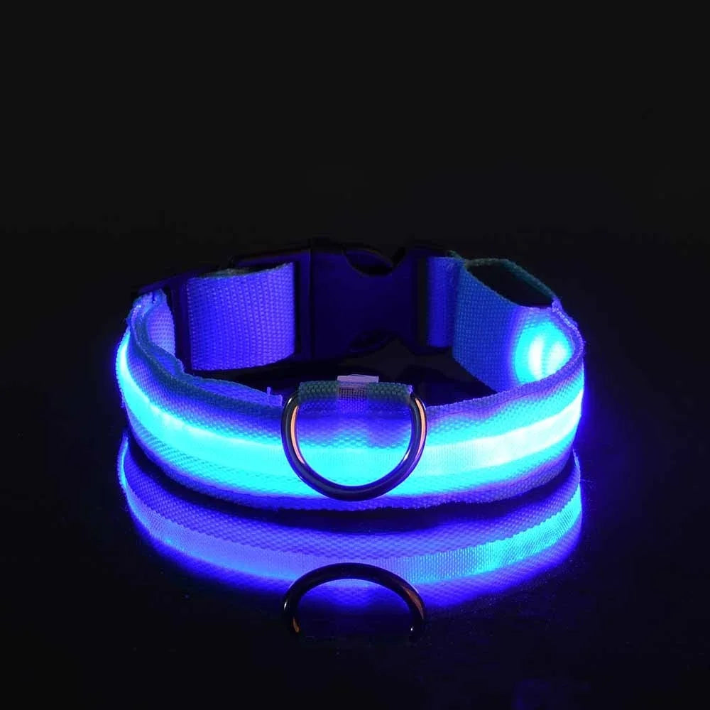 Fluorescent LED Dog Collar
