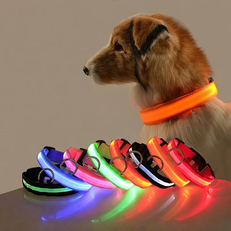 Fluorescent LED Dog Collar
