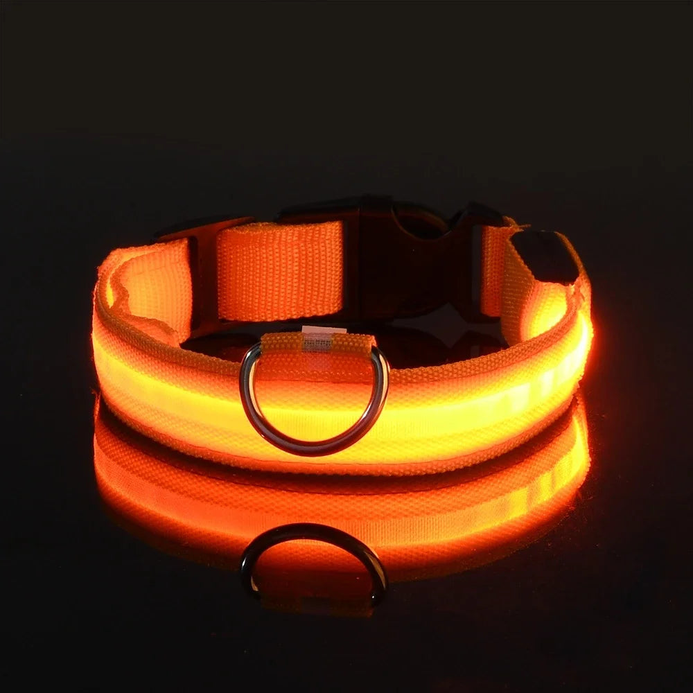Fluorescent LED Dog Collar