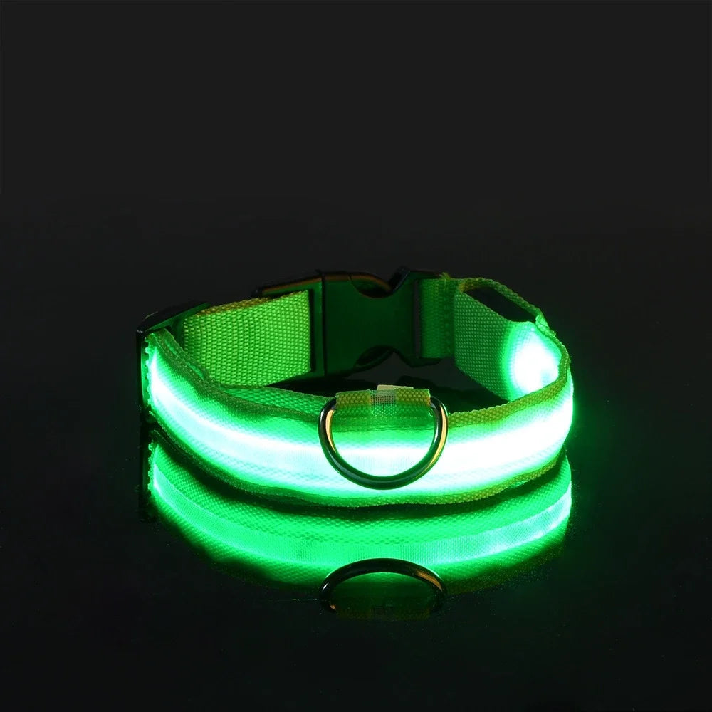 Fluorescent LED Dog Collar